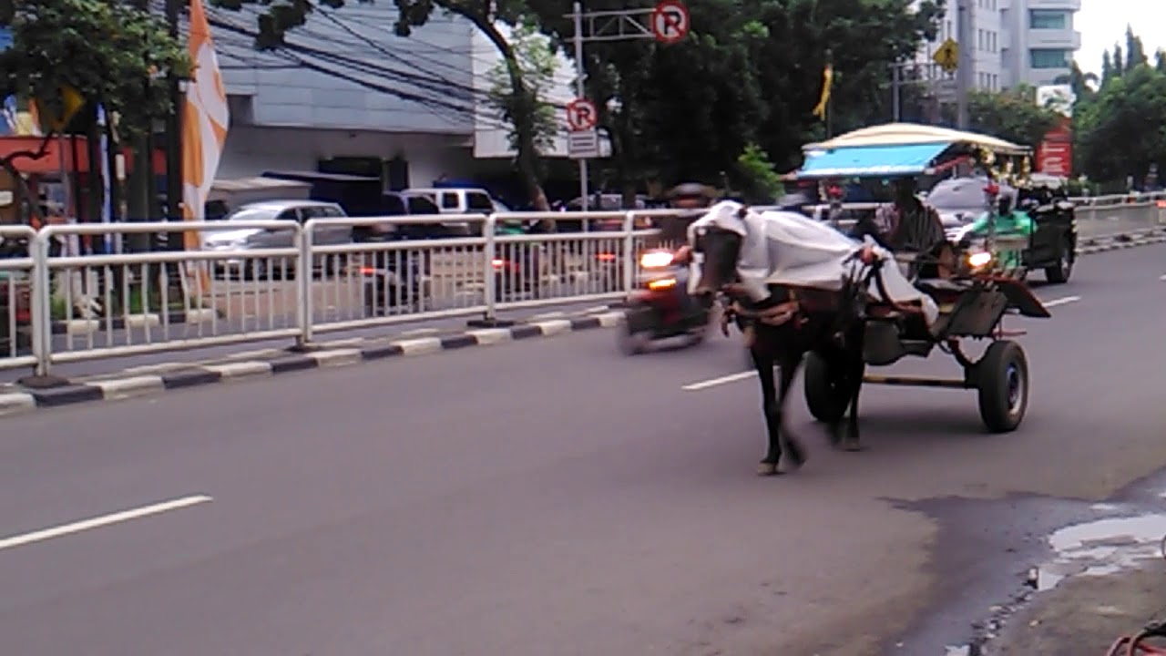 Monyet Pake Jas Hujan - Jas Hujan jenis & merk apa yang agan pake saat ini? kenapa ... - Lagu ...