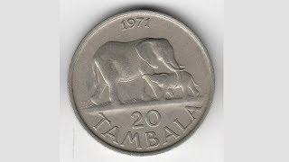 MALAWI 1971 20 TAMBALA ELEPHANT Coin VALUE
