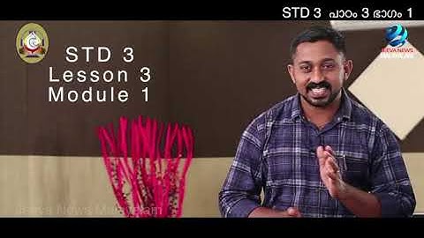 Mane Nobiscum I Cate. Class I STD 3 I Les. 3 I M. 1 I മതബോധനം I ക്ലാസ് 3 I പാഠം 3 I ഭാഗം 1Jeeva News