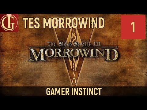 ПРОХОЖДЕНИЕ MORROWIND | ЧАСТЬ 1 - СЕЙДА НИН