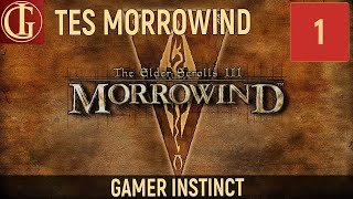 ПРОХОЖДЕНИЕ MORROWIND | ЧАСТЬ 1 - СЕЙДА НИН