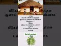 #உள்ளங்களோ கல்லாக உள்ளன#motivational#inspirtional#tamilquotes#lyrics#shortsvideo#வாழ்க்கை தத்துவம்