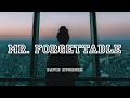 Mr. Forgettable - David Kushner | Lyrics