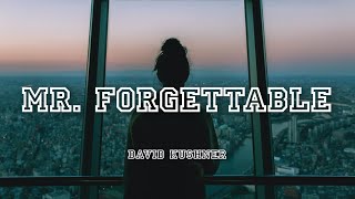 Mr. Forgettable - David Kushner | Lyrics