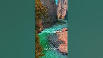 سورة القصص القارئ #ياسر_الدوسري #فلسطين#السعودية#المغرب#مصر#الجزائر#تونس#ليبيا#موريتانيا#اكسبلور