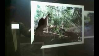 Vision 2 Watch Iwindow