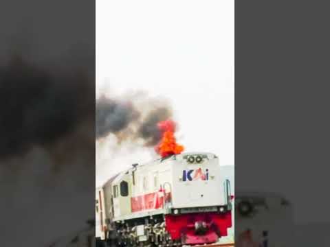 #kai #train #railway #station #tangerang #public #passenger #paijo #shorts