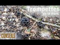 Prix Trompette De La Mort