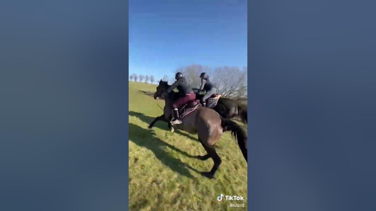 hourse-ride-for-animal-lovers-youtube