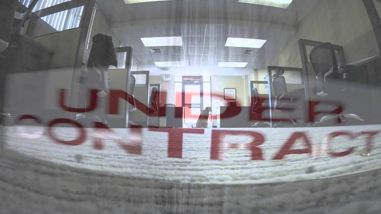 Carolina Real Estate Experts; The Dan Jones Group Office Video YouTube