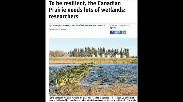 Wetlands and Their Role in the Resilience of Prairie Communities