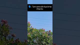 3️⃣ Life Is Short, I Use Python 🐍 | Developer Mindset#shorts #fyp #trending #success #subscribe
