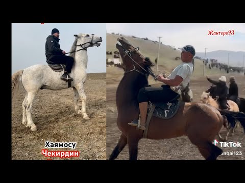 Чекир урук сатылат 