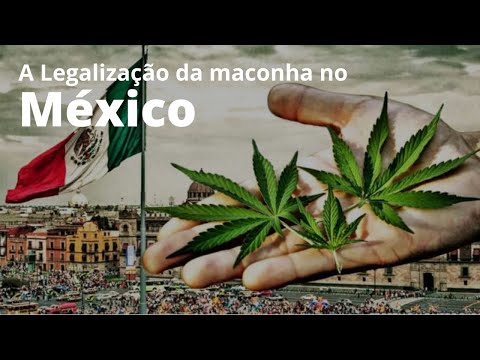 Vídeo: México Aprova Lei De Legalização De Drogas - Rede Matador