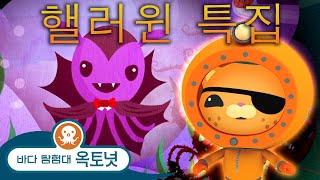 바다 탐험대 옥토넛 - 😼 콰지의 으스스한 바다 괴물 이야기 👻 | 🎃 핼러윈 특집 - 모음집