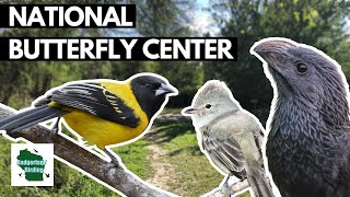 Birding the National Butterfly Center in the Rio Grande Valley, Texas