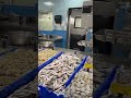 Lu Lu hyper market fish counter , Dubai #youtubeshorts #ytshorts