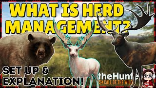HERD MANAGEMENT EXPLAINED! (For Visual Learners) | theHunter Call of the Wild