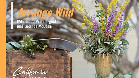 Arrange Wild with Linda Prendergast