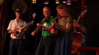 Foghorn Stringband @ Smiths Alternative, Canberra 2023.