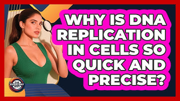 Why Is DNA Replication In Cells So Quick And Precise? - The Everyday Why