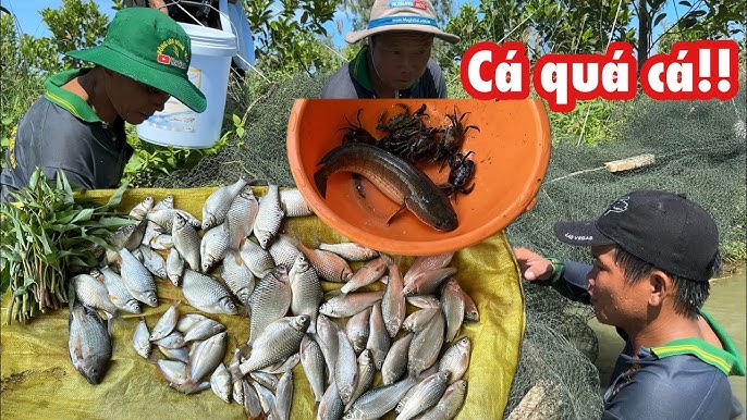 Thời gian mở cửa và giá cả