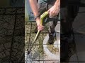 process of cleaning moss on the floor #cleaning #moss #floor #popular #viralshorts #shorts