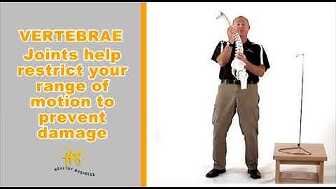 Anatomy and Manual Handling Part 1