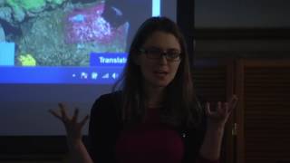 Imagine Boston 2030: Driving Our Growth - Promo