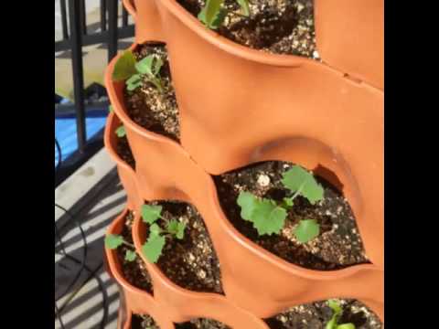 Testimonials Garden Tower Project