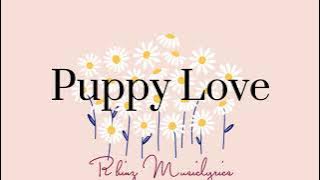 Puppy Love (lyrics) -Gani ft. Nathania & Harms-