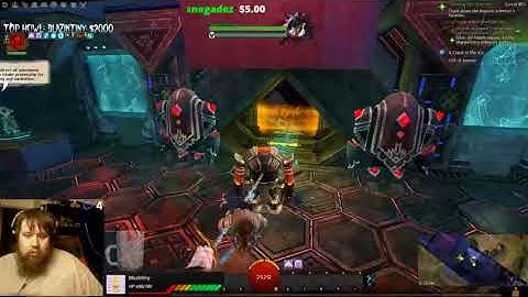 Guild Wars 2 A Bug In The System