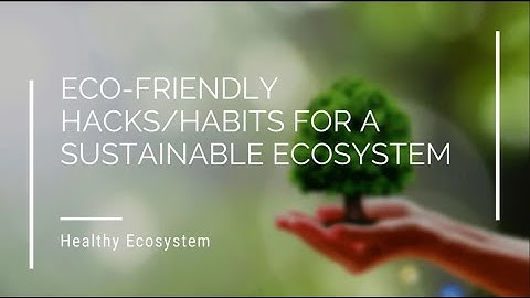 10 Eco-Friendly Hacks for a Sustainable Lifestyle