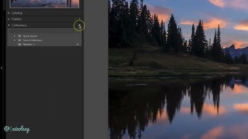 Group similar files with Smart Collections in Lightroom Classic