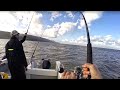 MURKY WATER SEA FISHING