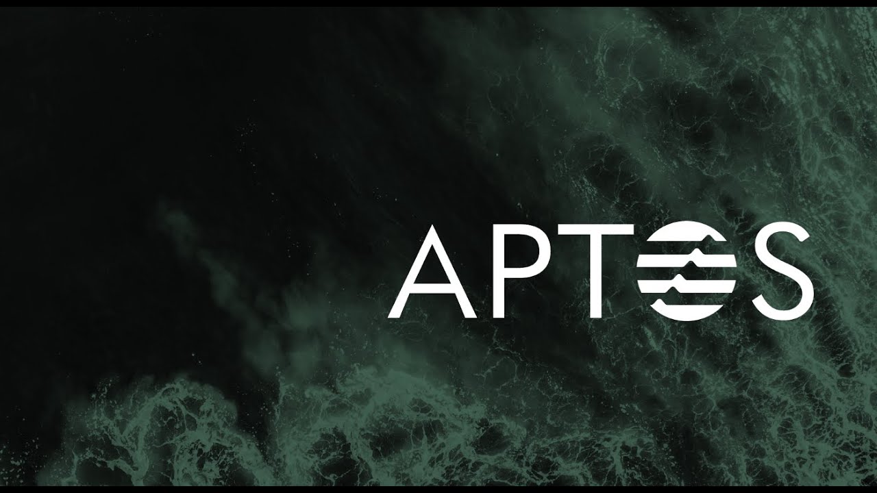 Aptos Testnet Guide - YouTube