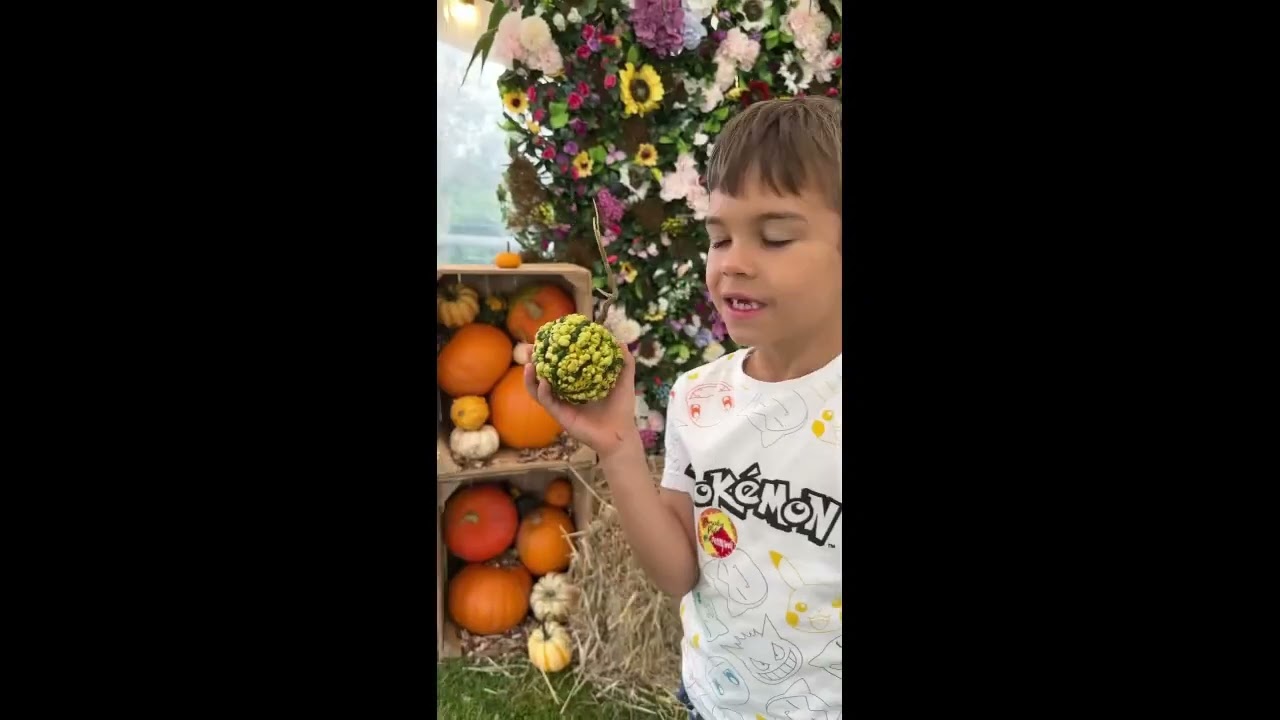 🎃 Family Fun at Pennywell’s Pumpkin Festival 🍂