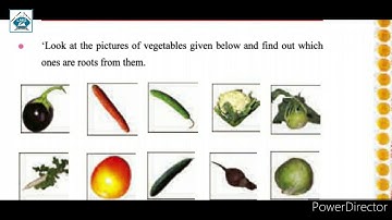 Std 4th EVS Ch-11 In The Orchad Part-2