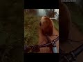 This video was made using @syntx_ai. To try it, visit syntx.ai, go to Videos, and select Google Veo.