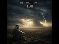 JOB Chapter 27