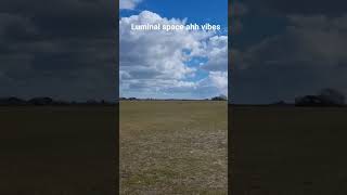 (real place new forest , England)  luminal space vibes