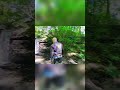 Exploring Hidden CCC Work and Waterfall Wonders! #shorts
