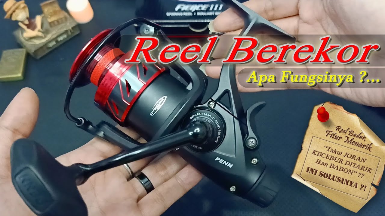 FISHING REEL WITH A TAIL?! REVIEW & EXPLANATION OF LIVE LINER FEATURES ON  REEL PENN FIERCE III LL 