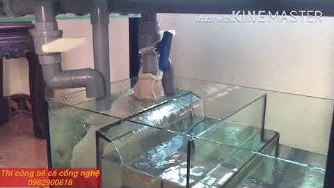 Bể cá rồng công nghệ mới