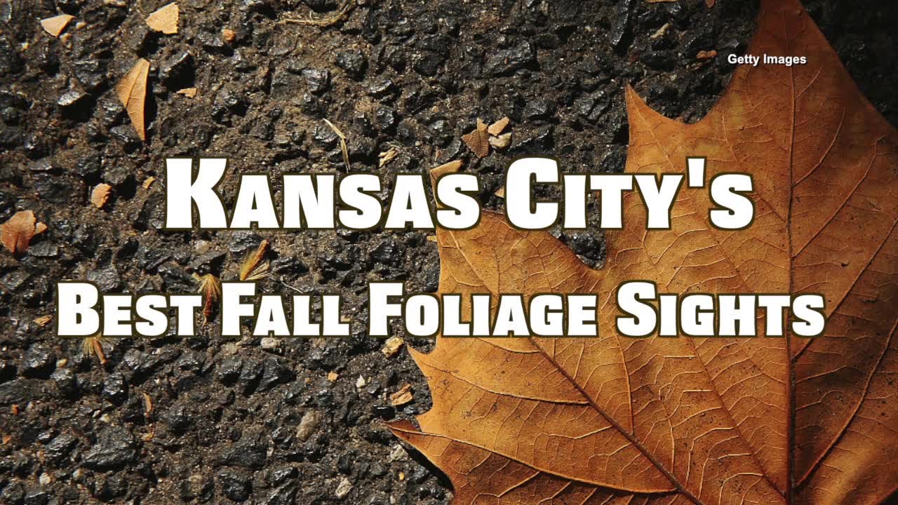Places to see fall foliage in KC