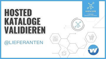 Hosted Kataloge korrekt validieren – So behebst Du Fehler als Lieferant | WPSM Tutorial