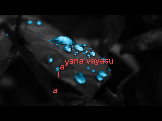 Kolamaavu Kokila / Kalyana Vayasu / Lyrics Video Song class=