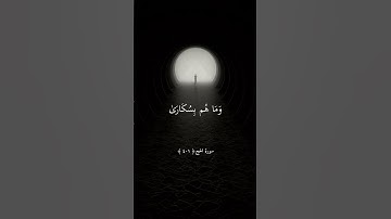 تلاوة هادئة جميلة بصوت الشيخ ماهر المعيقلي ارح قلبك #ماهر_المعيقلي