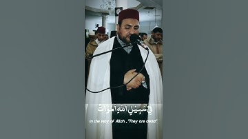 القارئ الشيخ يونس غربي - ولا تقولوا لمن يقتل في سبيل الله أموات#اكسبلور #younes_gharbi