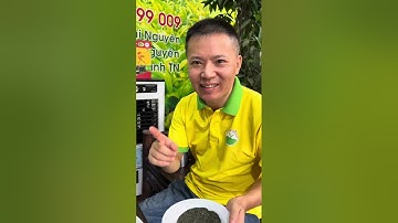 Trà tấm Đinh, trà cám Thái Nguyên loại nào ngon? | Bảo Ngọc Trà